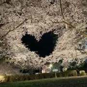 イヴ　【コメ・購入前プロフ読んでネ】の画像