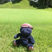 ベアゴルフ♡