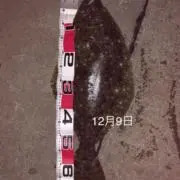 ジャス