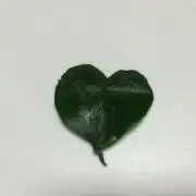 さっちー