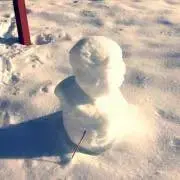 Doraの画像
