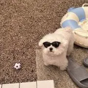 あやか