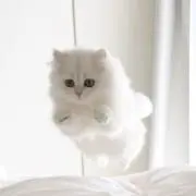 sai☺︎※プロフ必読の画像