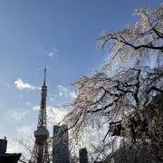 太の助 ☆プロフご覧くださいの画像
