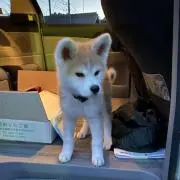 も〰️さん