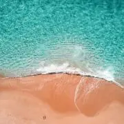 KAKIの画像