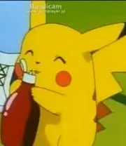 ちょこの画像