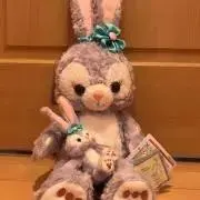 まぁちゃんの画像