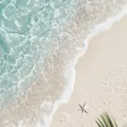 ぁゃの画像