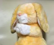 まいきーの画像