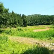 トッキ～の画像