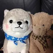 ミコチャン