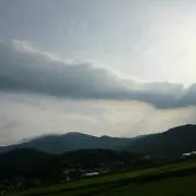 こはたろう