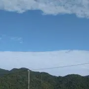 ぷっち