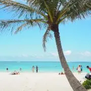 s.