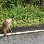 ゆめちゃん　※プロフご一読願います