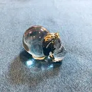 あおの画像