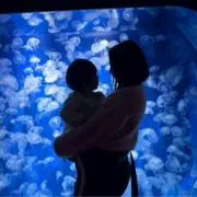 あやの画像