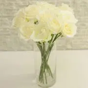くの画像
