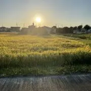 ビルボバキンズの画像