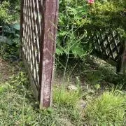 アスパラ堂の画像