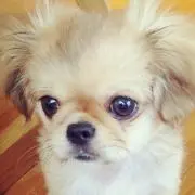 MARO☆