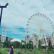 ぴのの画像