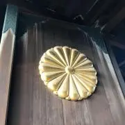 十六菊の画像