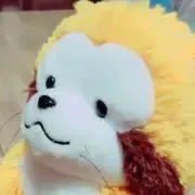 武田桁の画像