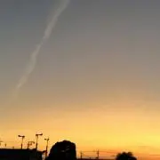 ゲイルの画像