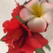 夏天