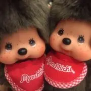 ぽいふるの画像