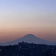 Suttonの画像