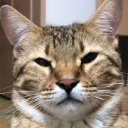 ぱち（プロフ確認要）の画像