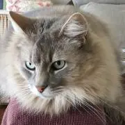louimaの画像