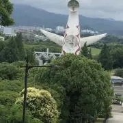 無敵の画像