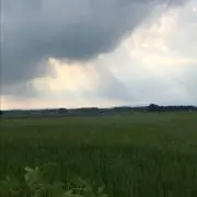 たて