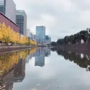ゆきの画像