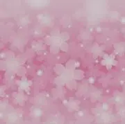 キララ