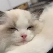 うる
