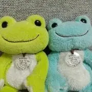 ちーの画像