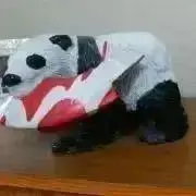 トマトの画像