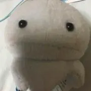 あいう
