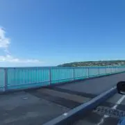 たにやんの画像