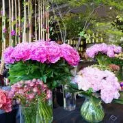 coco's ♡ shopの画像