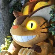 おひさまの画像