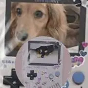 beeの画像