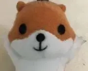 く〜く〜の画像