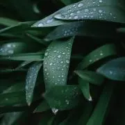 misatoの画像