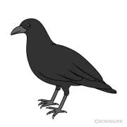 KARASU